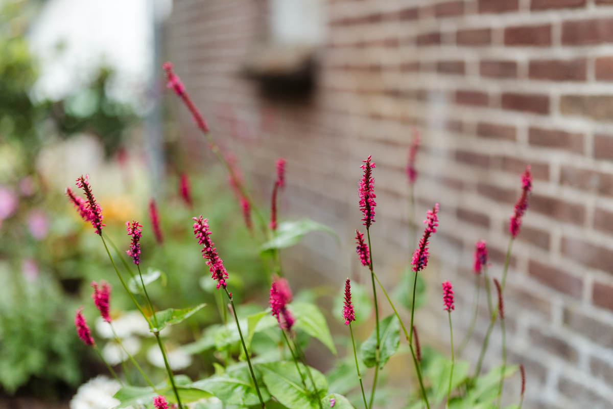 Omgeving van Oxe7 vergaderlocatie in Deventer