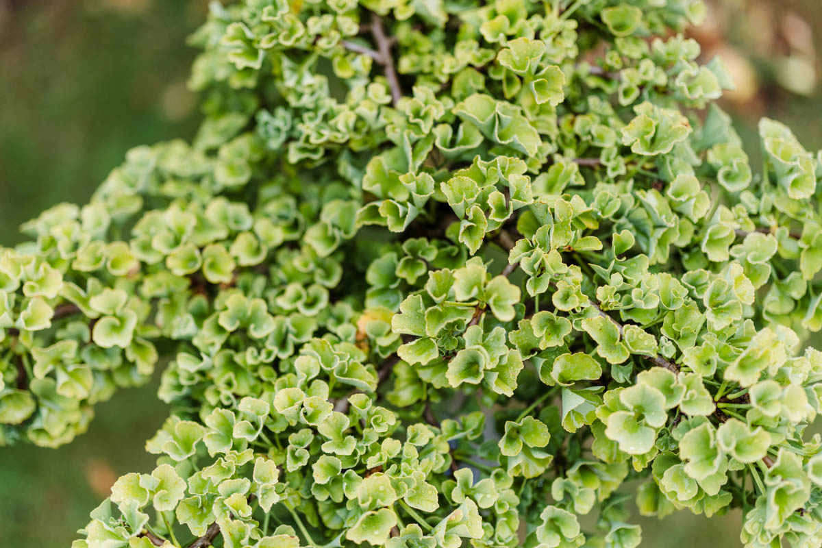 Omgeving van Oxe7 vergaderlocatie in Deventer